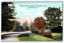 Louisville Kentucky KY Postcard Bridge And Roadway In Shawnee Park c1910's picture