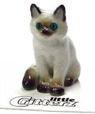➸ LITTLE CRITTERZ Cat Miniature Figurine Ragdoll Cat Kitten Samantha picture