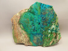 Parrot Wing Chrysocolla Malachite Polished Stone Slab Rock #O1 picture