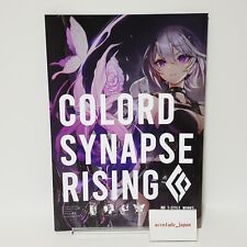 Colord Synapse Rising T-STYLE WORKS Original Art Book A4/28P Doujinshi C101 picture