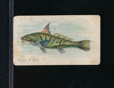 t58 1910 Fish Series Tobacco Sweet Caporal Factory 30 King Fish GD condition picture