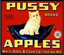 Pussy Brand Apples Yakima Washington State White Cat Fruit Crate Label Print picture