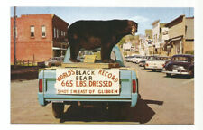 Glidden WI Postcard Wisconsin Black Bear picture