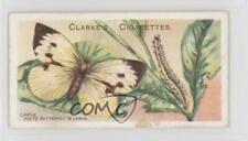 1912 Clarke's Butterflies & Moths Tobacco Large White Butterfly #15 jn1 picture