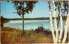 Sylvan Beach New York Oneida Lake Boats Postcard 1954 picture