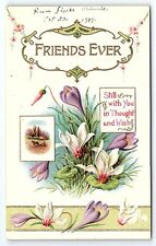 1909 FRIENDS EVER THOUGHTS WISHES FLORAL WARRENTON MO EMBOSSED POSTCARD P3331 picture
