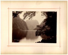 New Zealand, Hall's Arm, Looking Down, Photo. Burton Brothers Vintage Print picture