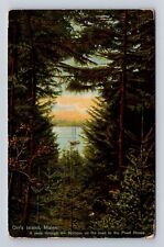 Orr's Island ME- Maine, Spruces On Road To Pearl House, Antique Vintage Postcard picture