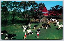 Animal~Bringing In The Cows Down On The Farm~Vintage Postcard picture