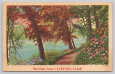 Lakeport California, Lakeside Scenic View, Vintage Postcard picture