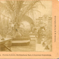 COLUMBIAN EXPOSITION, Florida Exhibit Horticultural Hall--Stereoview WF68 picture