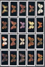 1935 Abdulla & Co. British Butterflies Tobacco Cards Complete Set of 25 picture
