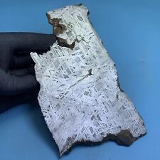 240gm  Aletai iron meteorite slab  SIZE:154*85*3.3mm SH0249 picture
