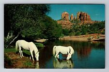 Oak Creek Canyon AZ-Arizona, Horses At Baldwins Crossing, Vintage Postcard picture