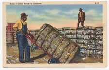 Bales of Cotton  Ready for Shipment Unposted Linen Postcard picture