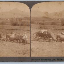 1903 Hohenzollern Germany Swabian Castle Tubingen Fort Real Photo Stereoview V40 picture