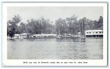 c1940's Ormand's Jungle Den Fishing Camp Lake George Dexter Astor FL Postcard picture