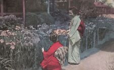 Tokyo Japan, 1911 View Horikiri Iris Garden Flowers Blooms, Vintage Postcard picture