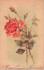 Lovely Pink Rose on 1912 Postcard - No. 2416 picture