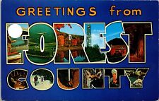 Forrest County Large Letter Greeting PA Postcard Chrome Allegheny State Park picture