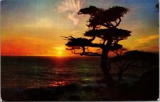 Vintage Postcard Day's End Cypress California picture