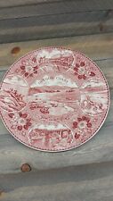 OREGON COAST Collector Plate by the ROYAL STAFFORDSHIRE POTTERY 10