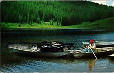 Colorado Postcard: Rainbow Trout- Colorado Springs- 1967 picture