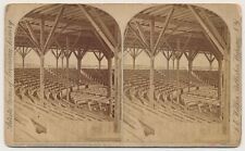 NEW YORK SV - Chautauqua - Assembly Grounds - LE Walker 1880s picture