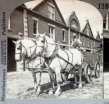 Percheron Draft Horses Indiana Stock Farm Photograph Keystone Stereoview Card picture