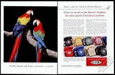 1957 scarlet macaw birds gorgeous color photo Du Pont pigments vintage print ad picture