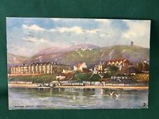 Isle of Man Ballure Mount Ramsey Antique Postcard Color TucksOilette Posted 1905 picture