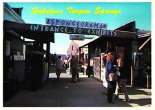 Tarpon Springs Florida Sponge Exhibits Postcard 1970s Vintage Spongeorama picture