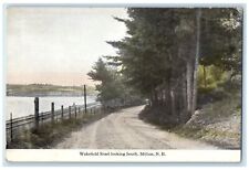 c1920's Wakefield Road Looking South Dirt Road Milton New Hampshire NH Postcard picture