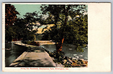 Wilmington Delaware Along the Racewalk Brandywine Park Posted 1907 Postcard picture