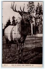 c1910's Deer In Stanley Park Vancouver BC Canada RPPC Photo Antique Postcard picture