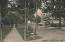 Woodstock,VT The Park Windsor County Vermont Woodstock Pharmacy Postcard Vintage picture