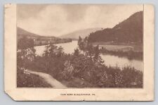 View Near Susquehanna Pennsylvania c1910 Antique Postcard picture