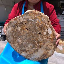 15.68LB  Natural Petrified Wood Fossil Crystal Polished Slice- Madagascar picture