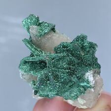 Malachite Druzy On Calcite Crystals Tantara Mine CONGO 23g picture