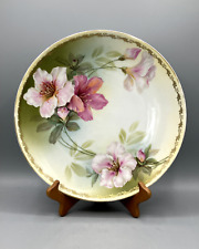 Antique/Vintage R S Tillowitz Silesia Hand Painted Porcelain Plate picture