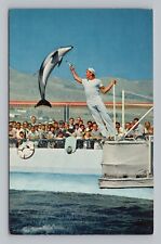 Postcard Porpoise Marineland of the Pacific California picture