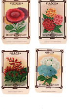 Vintage Antique 1900s Burt's Flower Seed Envelopes 3