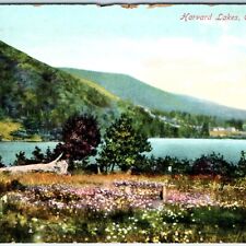 c1910s Cape Breton, England Harvard Lakes Nature Private Post Card Eastern A157 picture