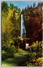 Multnomah Falls Columbia Gorge Oregon Vintage Postcard picture