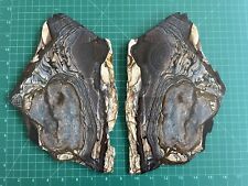 AAA blue biggs jasper - huge polished matched pair picture