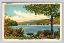 Bristol NH-New Hampshire, Scenic Greetings, Newfound Lake, Vintage Postcard picture