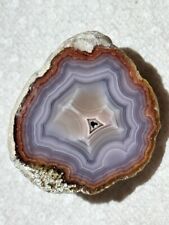 Coyamito Agate Polished Specimen  / Mexican Agate / Similar to Laguna picture