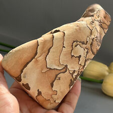 419g Natural crystal wood grain stone polished sample B16 picture