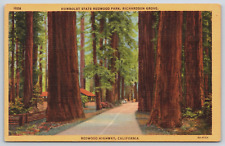 Postcard Humboldt State Redwood Park, Richardson Grove, California Unposted picture