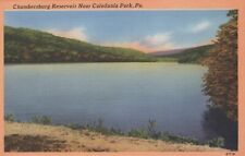 Chambersburg Reservoir Near Caledonia Park Pennsylvania Vintage Linen Postcard picture